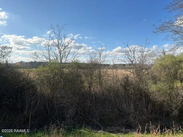 $38,500 | Ruppert Lake Road, Unit 2, Iota, LA 70543