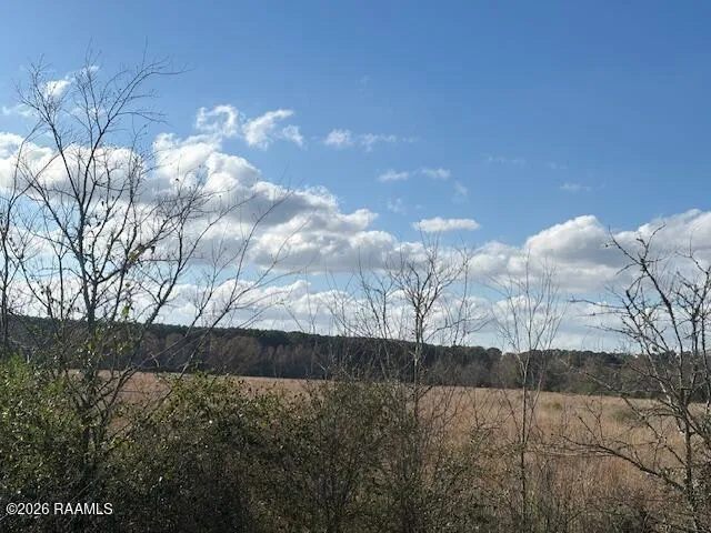 $38,500 | Ruppert Lake Road, Unit 2, Iota, LA 70543