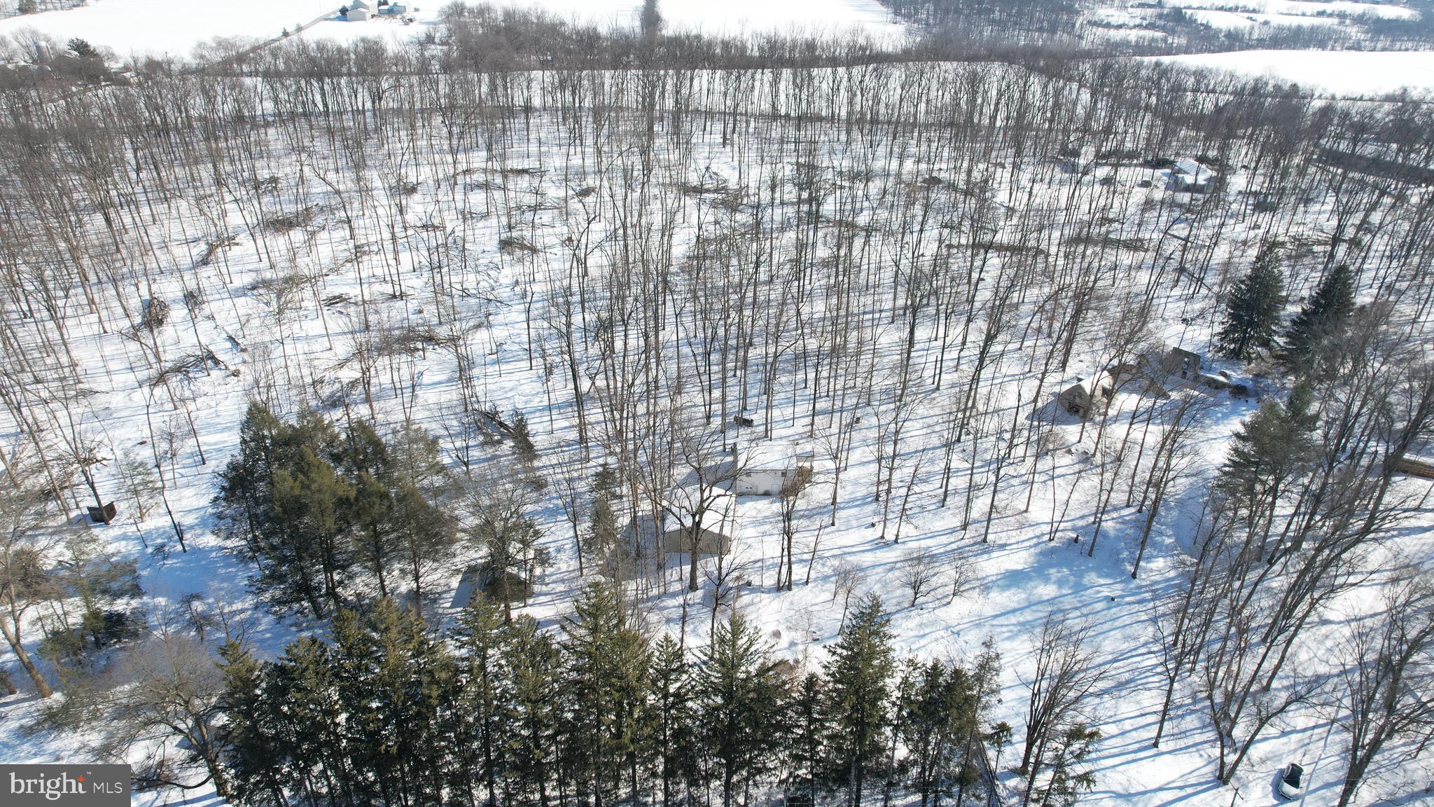 233 Congo-Niantic Road Barto, PA 19504 - Photo 11 of 26