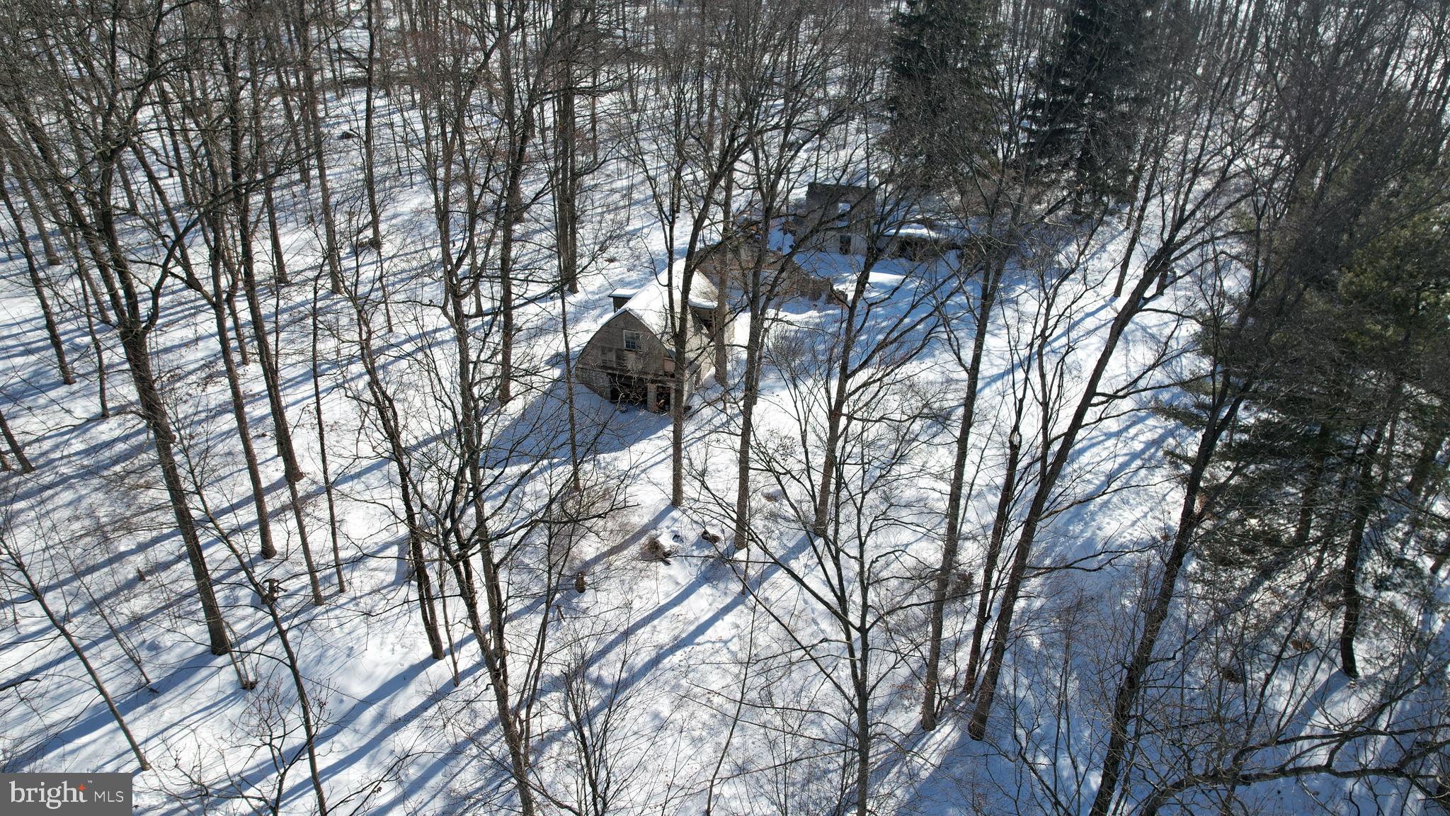 233 Congo-Niantic Road Barto, PA 19504 - Photo 9 of 26