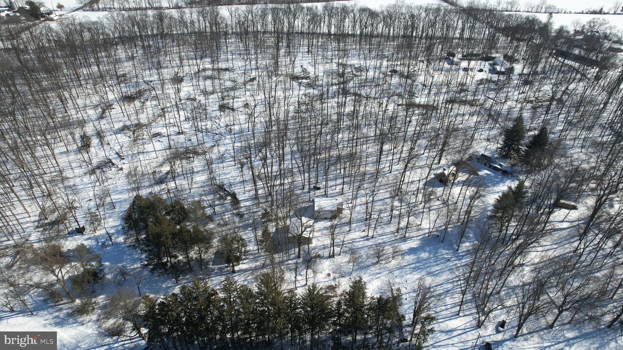 233 Congo-Niantic Road Barto, PA 19504 - Photo 10 of 26