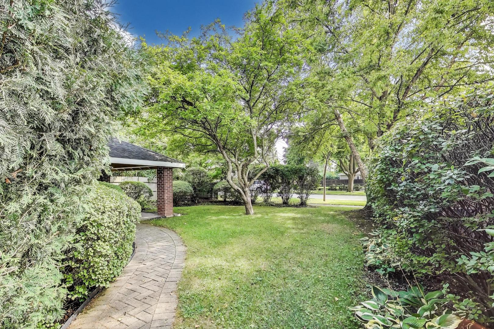 1000 East Lincoln Street Mount Prospect, IL 60056 - Photo 33 of 37 a view of a backyard with large trees