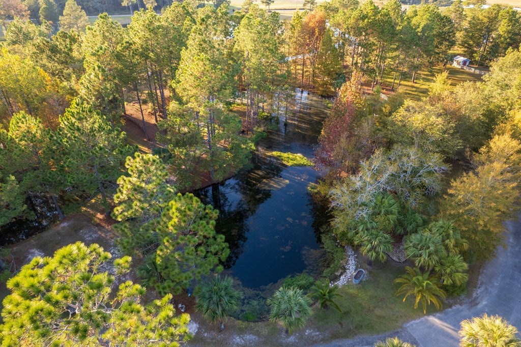 3659 Rountree Brg Road Adel, GA 31620 - Photo 16 of 67 Gallery Image 16