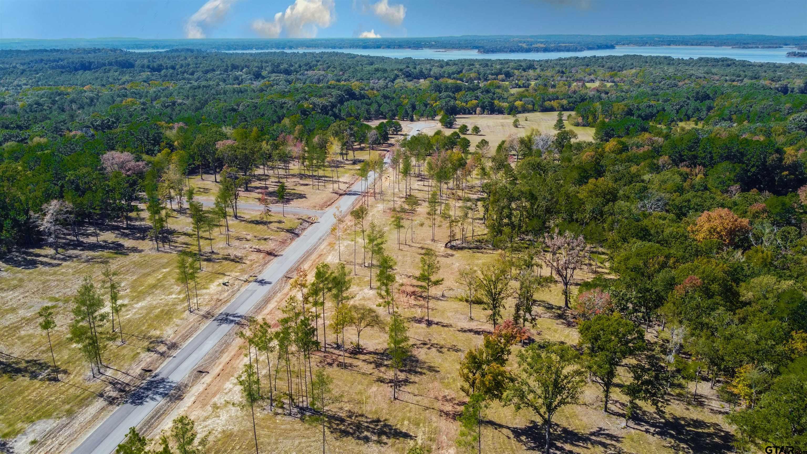 15537 Aniston Lane Flint, TX 75762 - Photo 13 of 47 a view of a city with mountains in the background