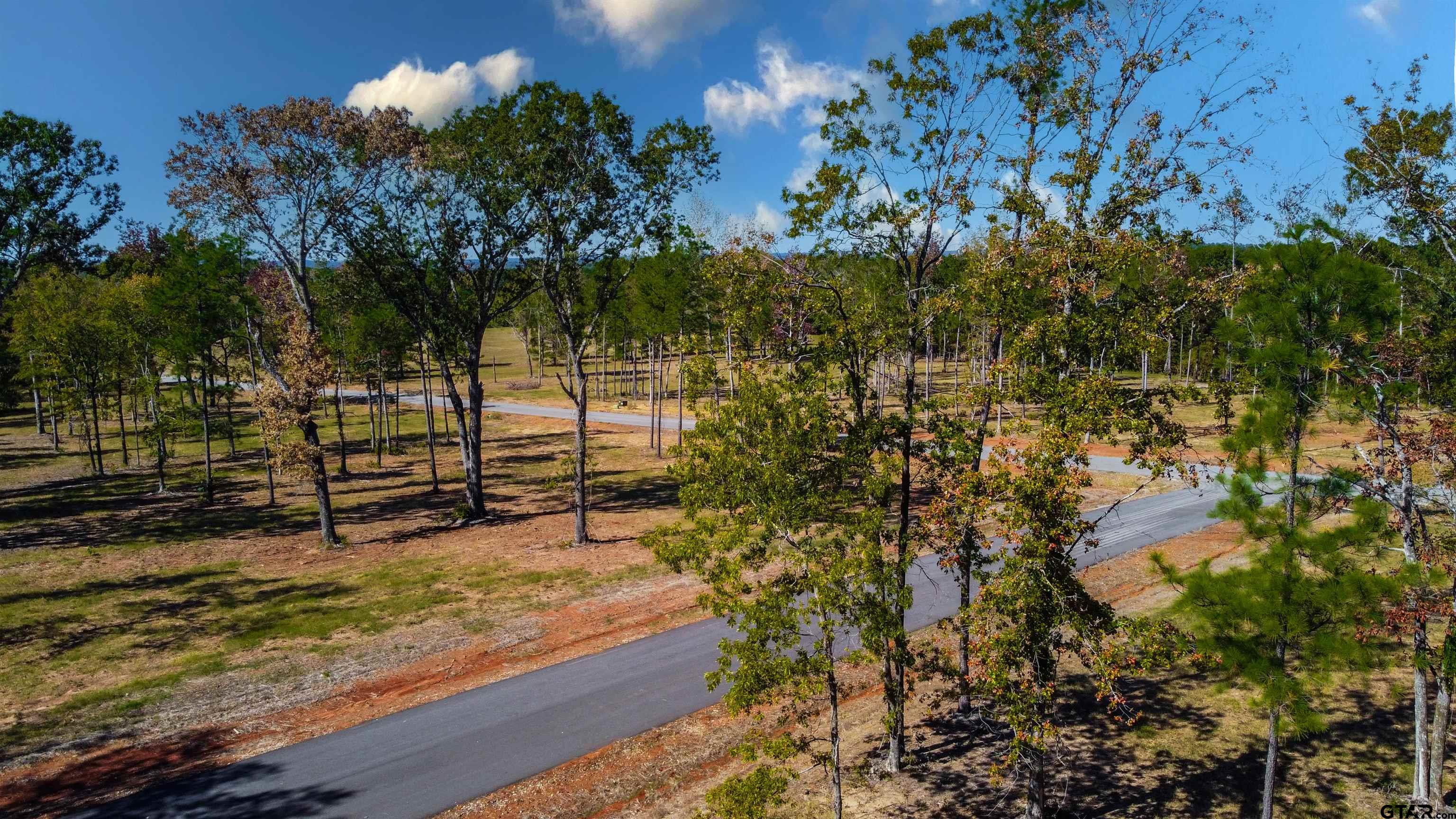 15537 Aniston Lane Flint, TX 75762 - Photo 16 of 47 a view of a garden with wooden fence