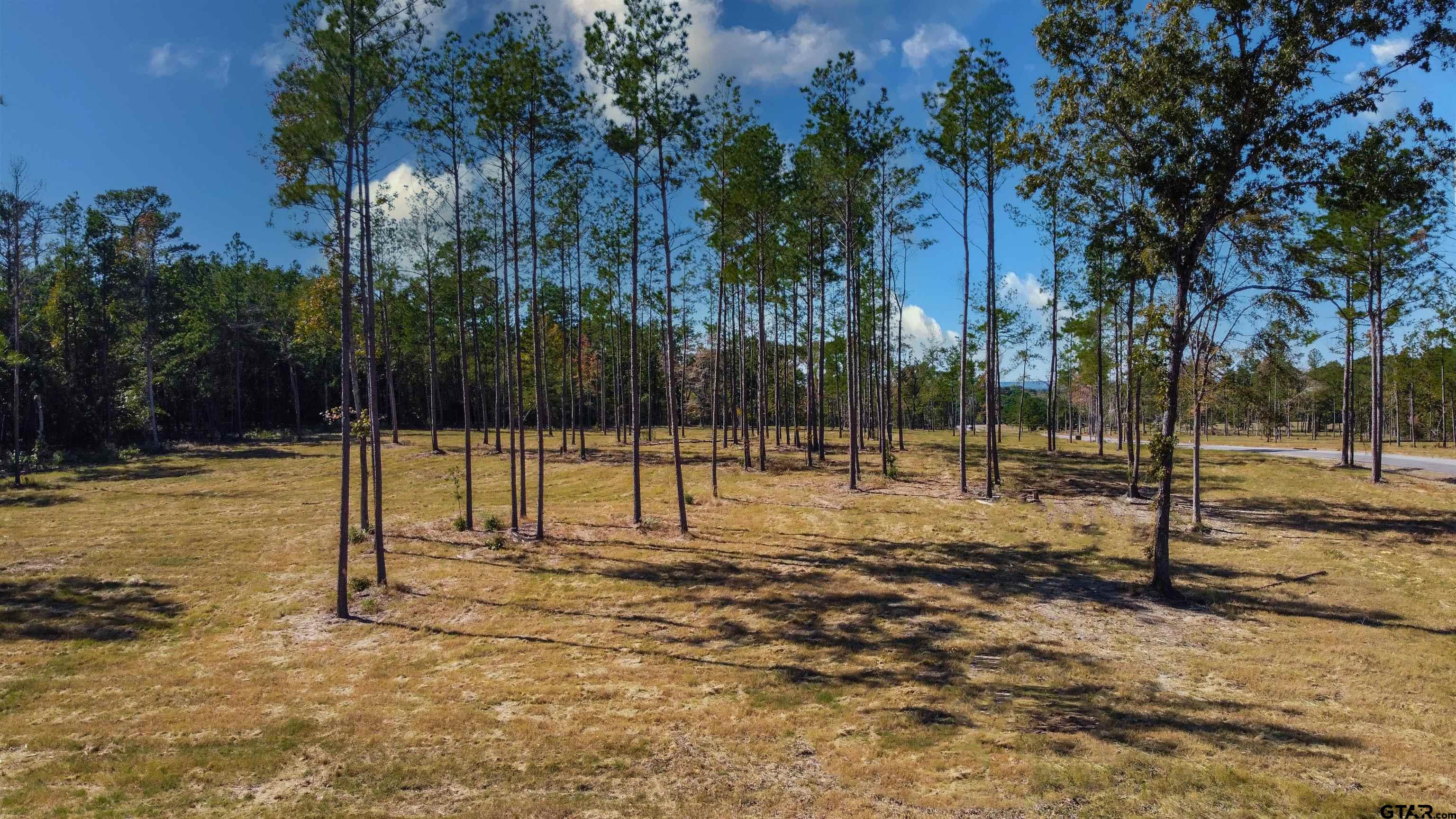 15537 Aniston Lane Flint, TX 75762 - Photo 2 of 47 a house with trees in the background