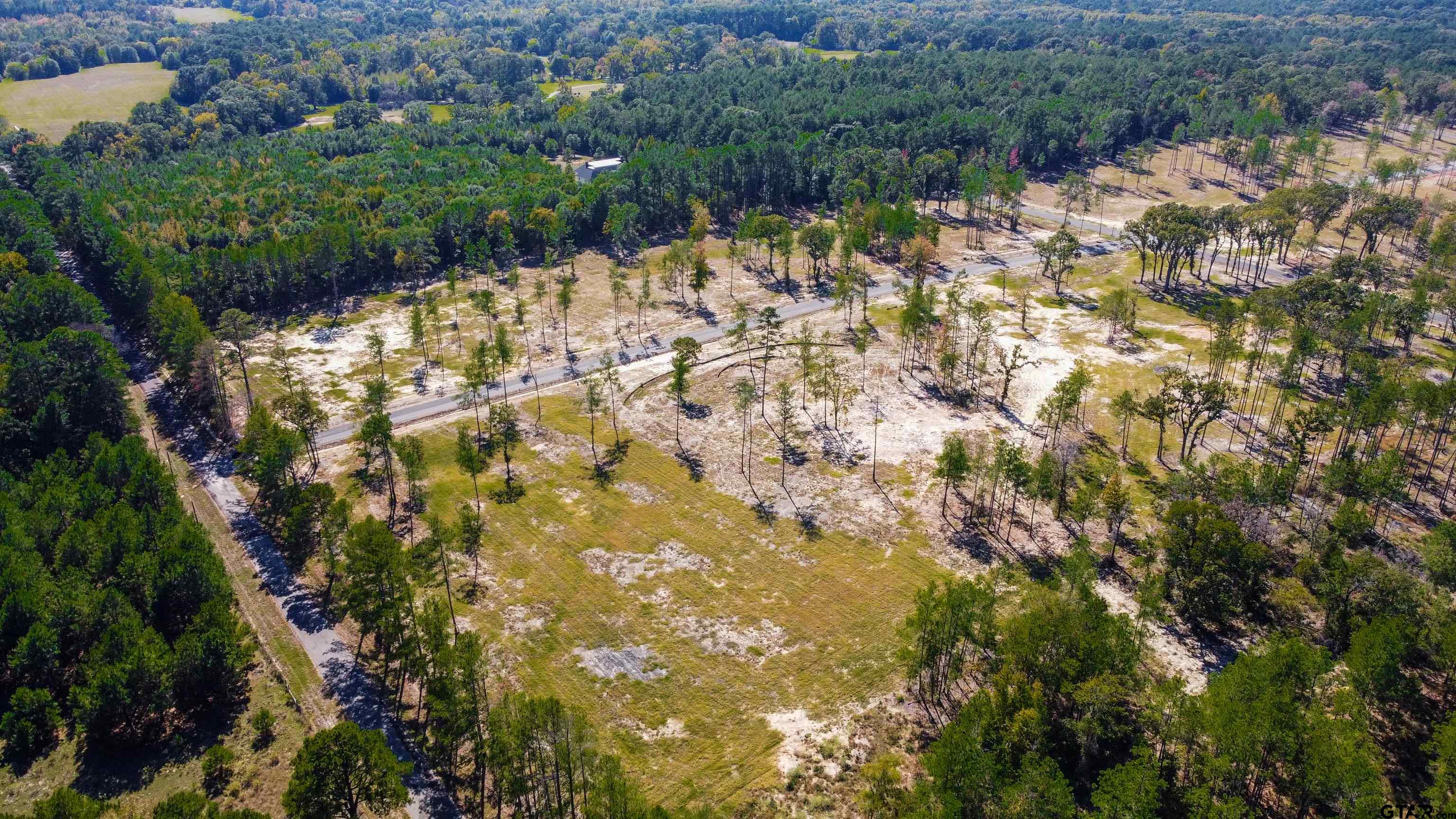 15537 Aniston Lane Flint, TX 75762 - Photo 25 of 47 a view of yard