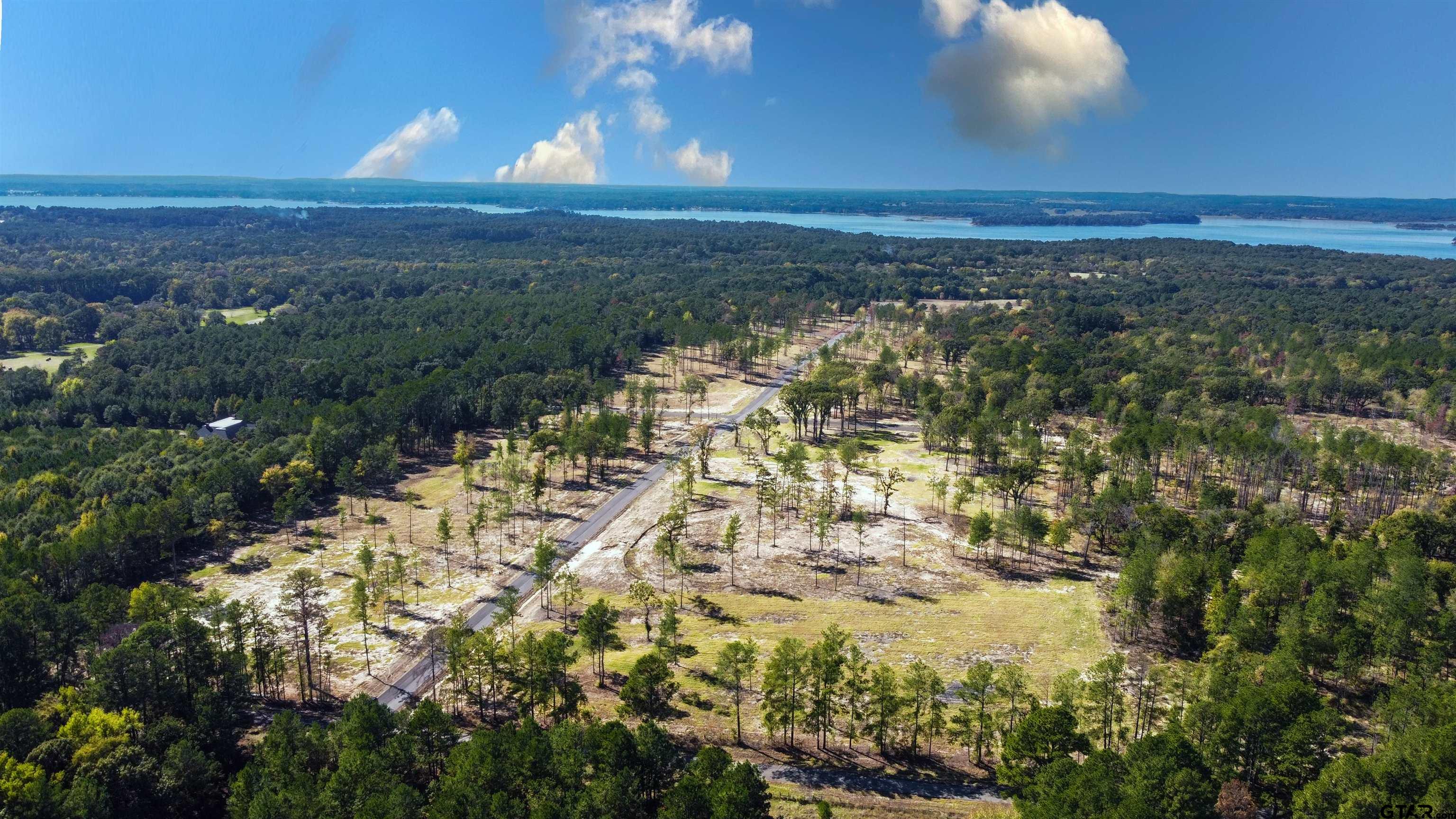 15537 Aniston Lane Flint, TX 75762 - Photo 29 of 47 a view of an ocean from a yard