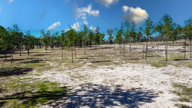 a view of a yard with tree s