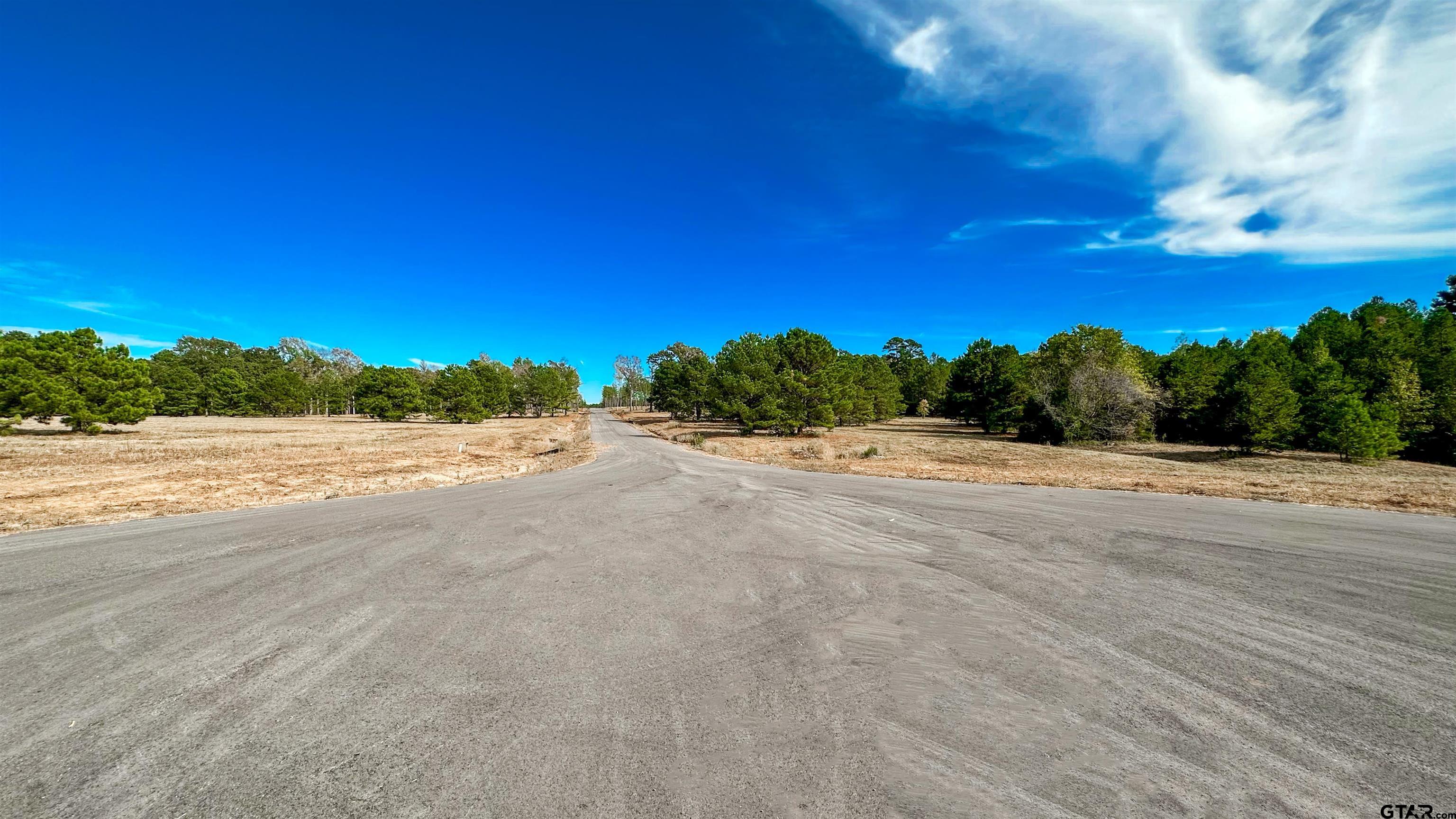 15537 Aniston Lane Flint, TX 75762 - Photo 45 of 47 a view of patio and a yard