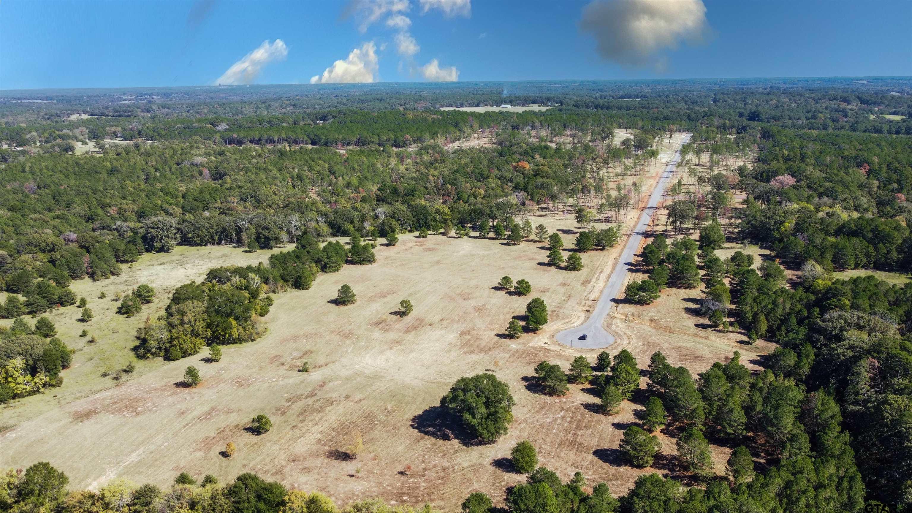 15537 Aniston Lane Flint, TX 75762 - Photo 7 of 47 a view of a lake with a beach