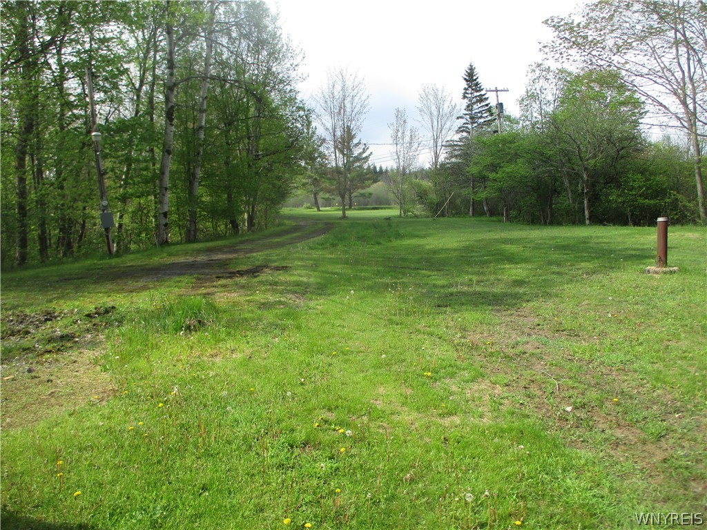 11540 Bolton Road Yorkshire, NY 14141 - Photo 11 of 16 driveway to road