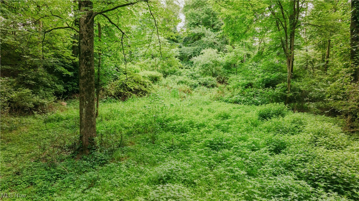 3555 Riverside Drive Northwest Massillon, OH 44647 - Photo 18 of 25 View of nature