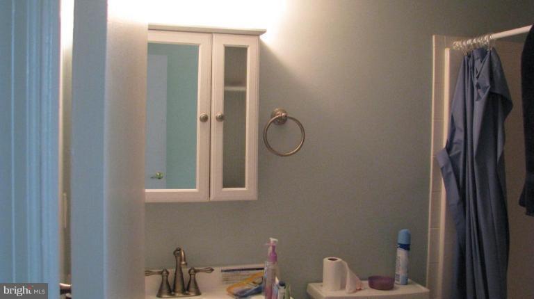 704 Rosedale Street, Unit 74 Annapolis, MD 21401 - Photo 8 of 10 Master Bath