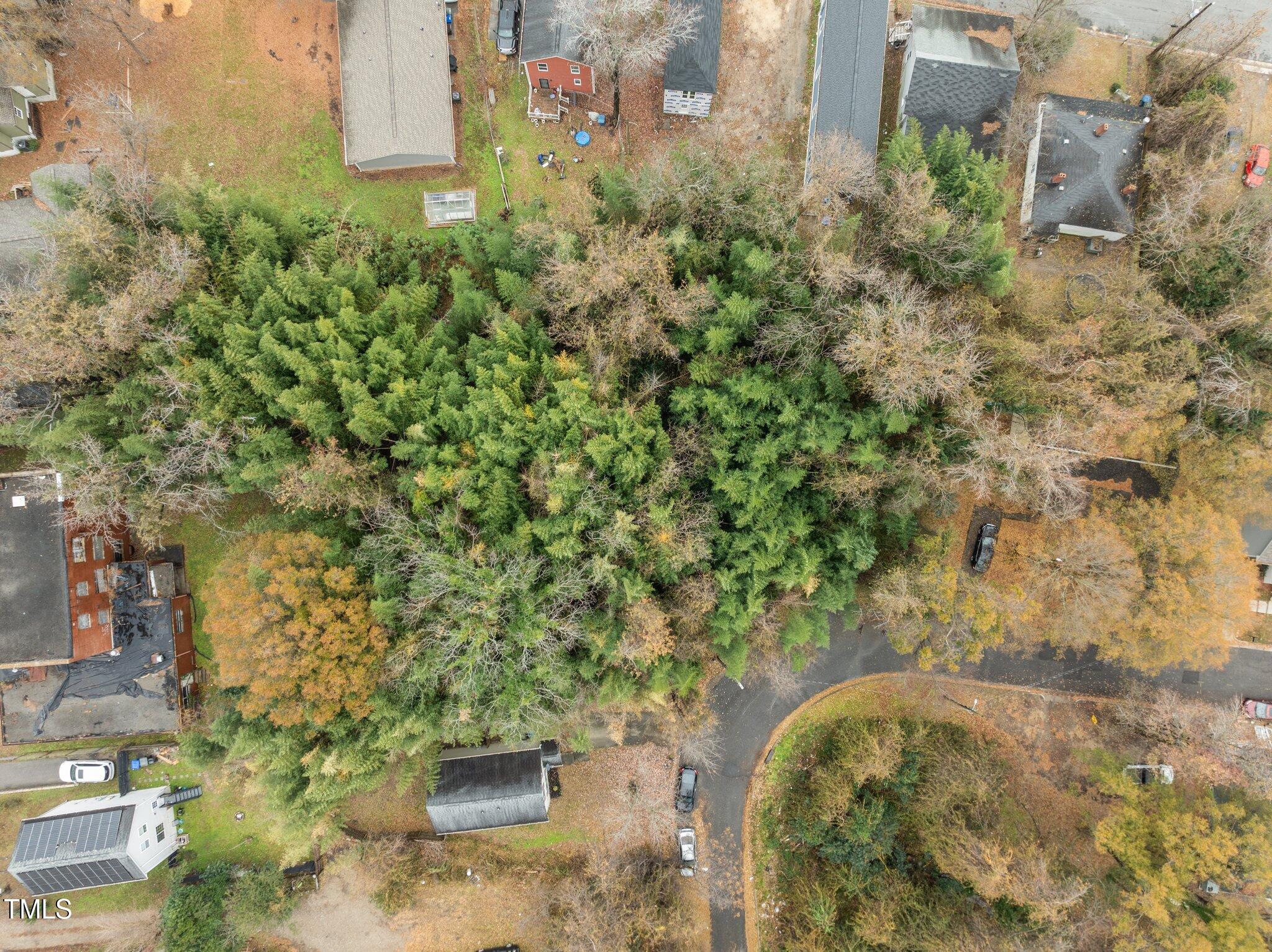 1203 Avery Street Durham, NC 27707 - Photo 7 of 15 7-web-or-mls-DJI_0327
