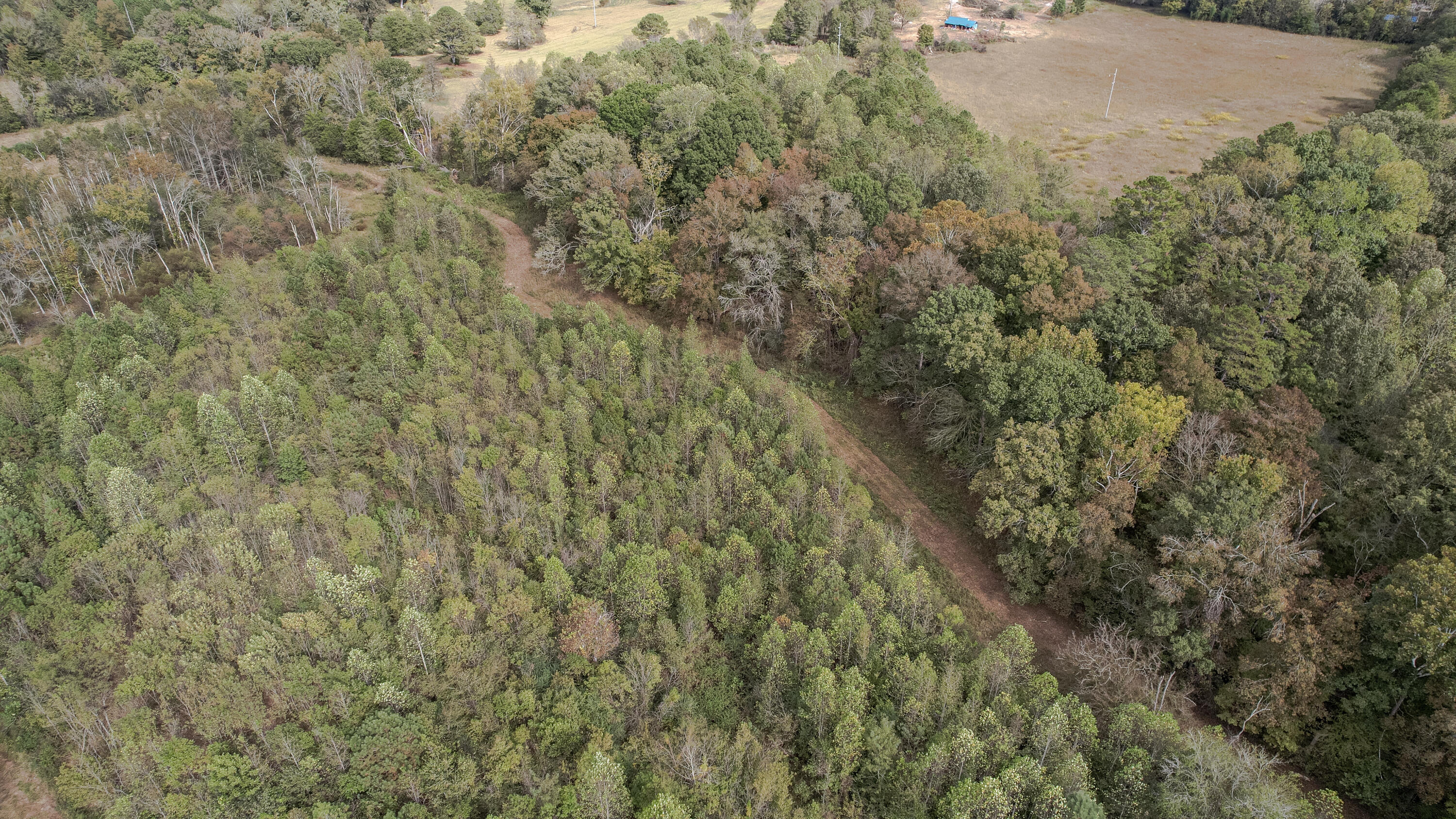 3971 Highway 411 Ocoee, TN 37361 - Photo 53 of 69 53-DJI_0173