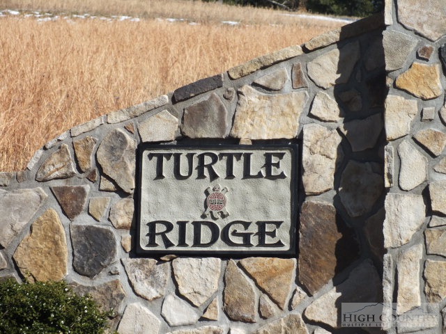 Lot 3 Turtle Ridge Road Sparta, NC 28675 - Photo 1 of 2