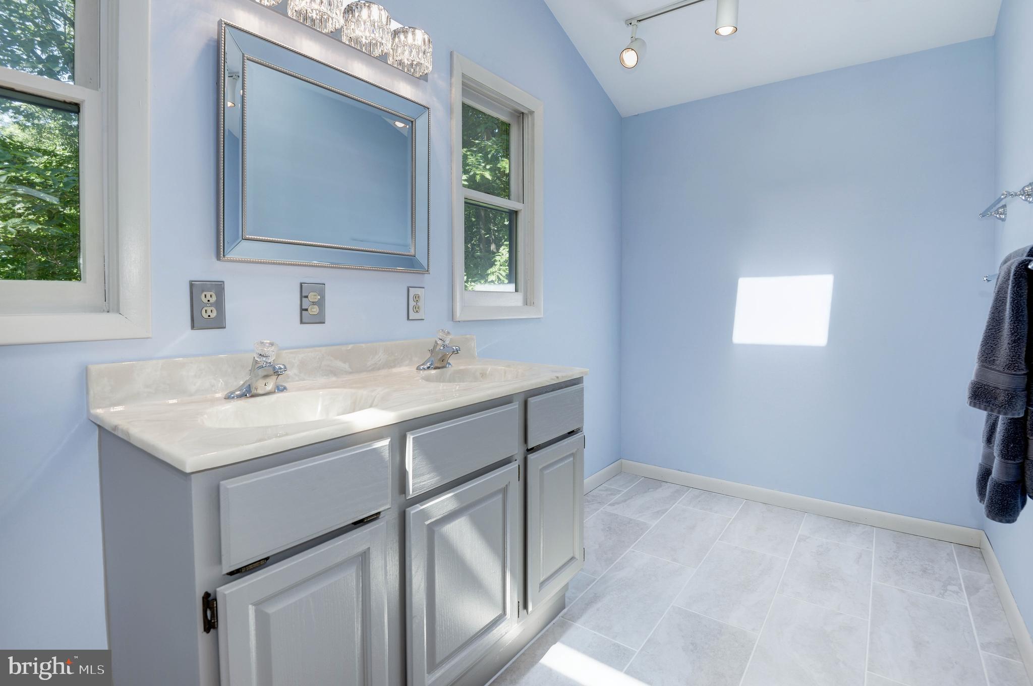 1619 Summit Drive Haymarket, VA 20169 - Photo 22 of 62 a bathroom with a sink and a mirror