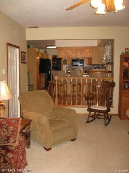 24317 Carleton West Road Belleville, MI 48111 - Photo 13 of 23 View From Family Room