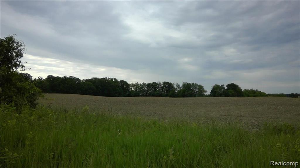 2463 Delano Road Oxford, MI 48371 - Photo 1 of 2 Gallery Image 1