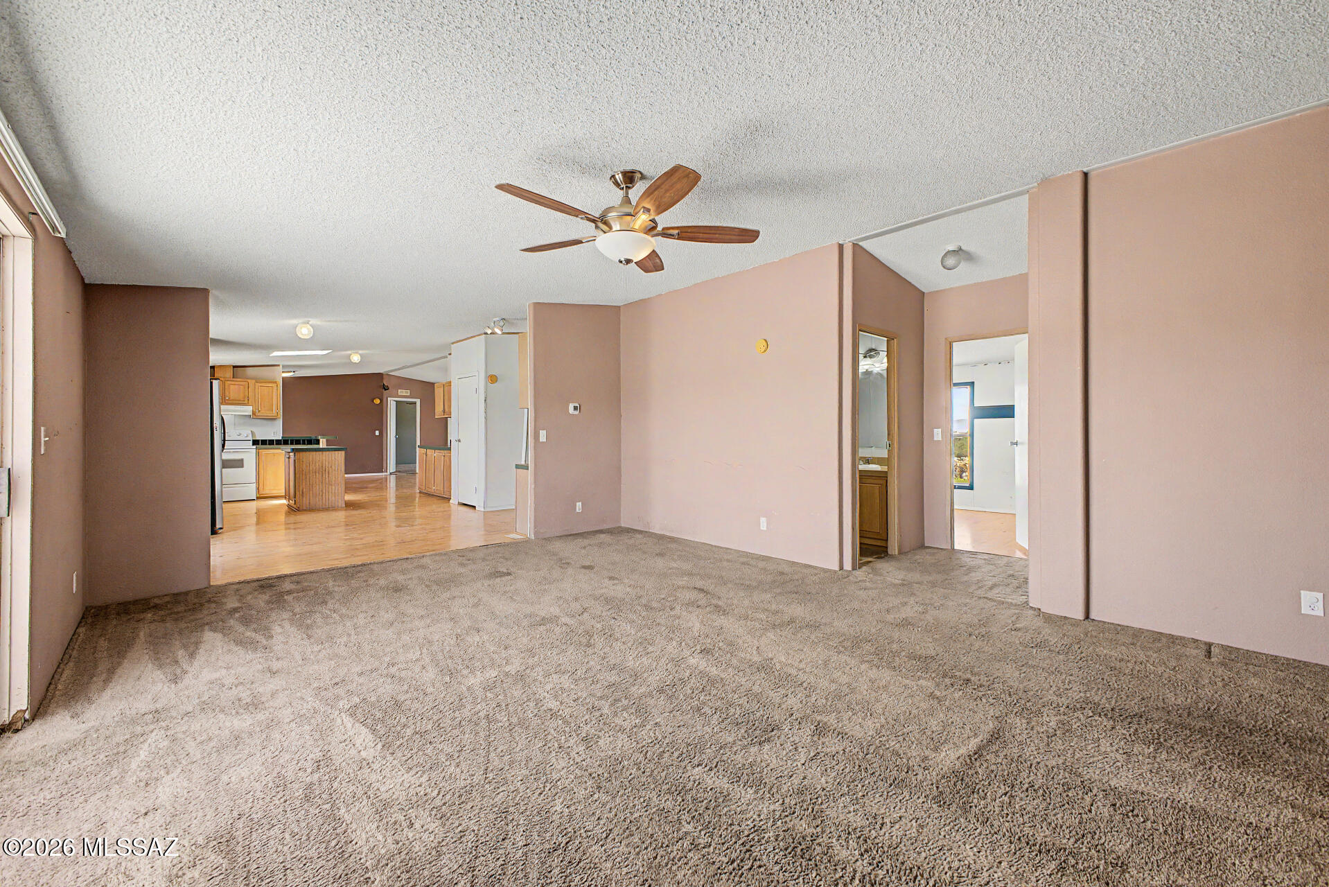 1911 West Thunder Road Vail, AZ 85641 - Photo 19 of 38 an empty room with closet and a ceiling fan