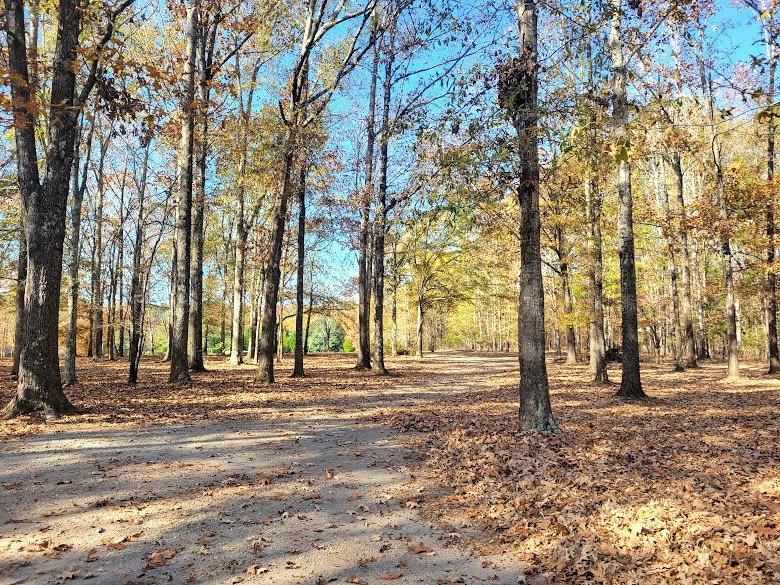 309 Chipley Road Greenwood, SC 29646 - Photo 46 of 50