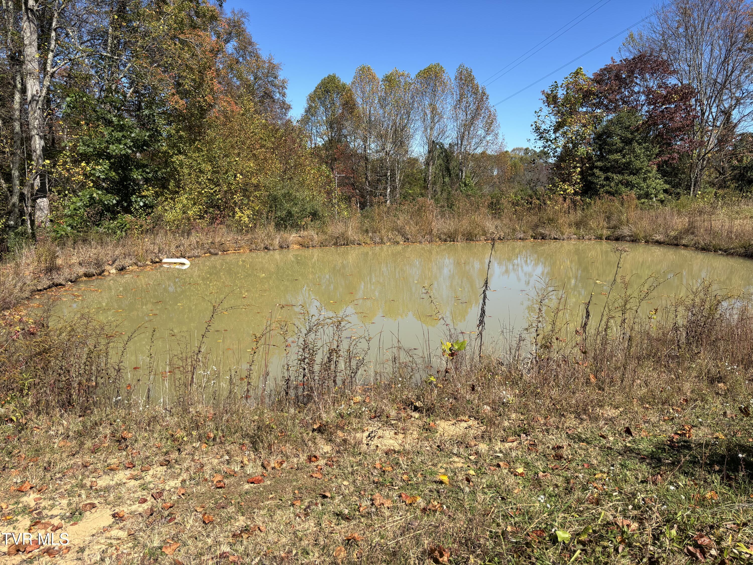 332 Hopper Road Shady Valley, TN 37688 - Photo 11 of 20 IMG_5078