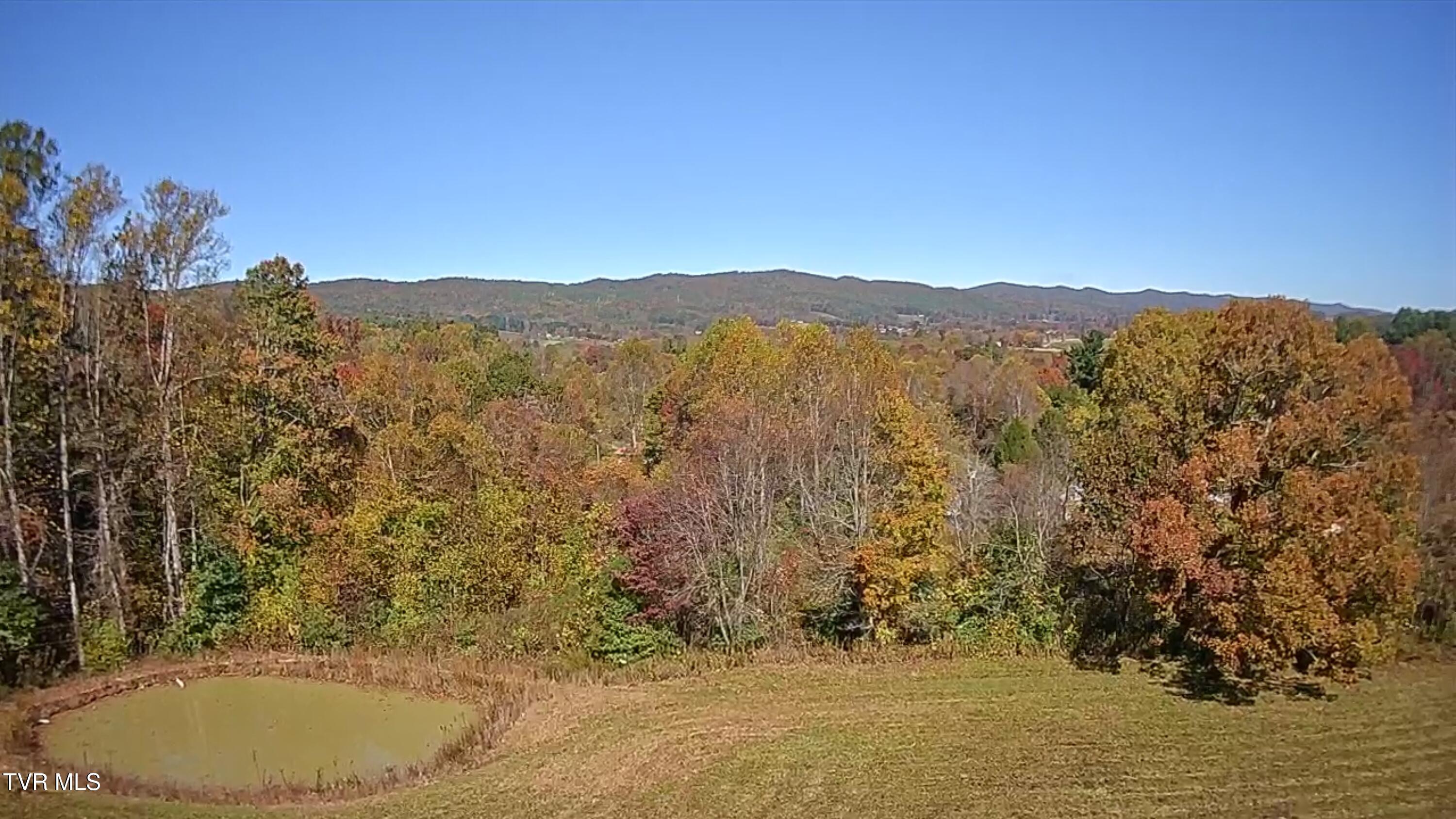 332 Hopper Road Shady Valley, TN 37688 - Photo 6 of 20 IMG_5070