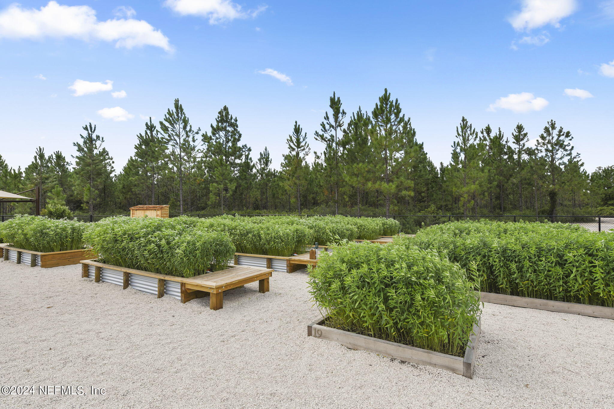 175 Windswept Way Street St. Augustine, FL 32092 - Photo 68 of 80 a view of a garden with lawn chairs and a fire pit