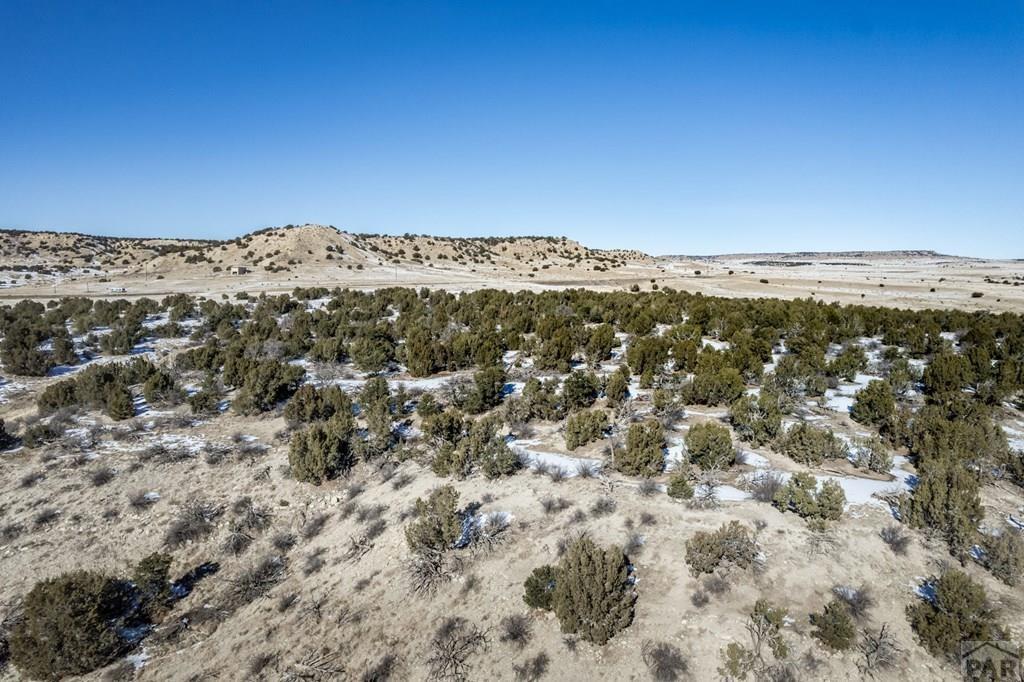 Lot 51 Ghost River Ranch Rye, CO 81069 - Photo 24 of 30
