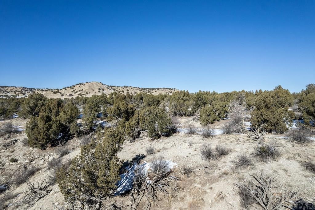 Lot 51 Ghost River Ranch Rye, CO 81069 - Photo 25 of 30