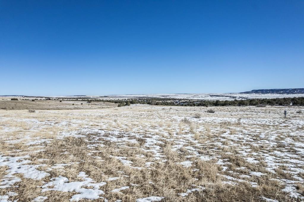 Lot 51 Ghost River Ranch Rye, CO 81069 - Photo 28 of 30