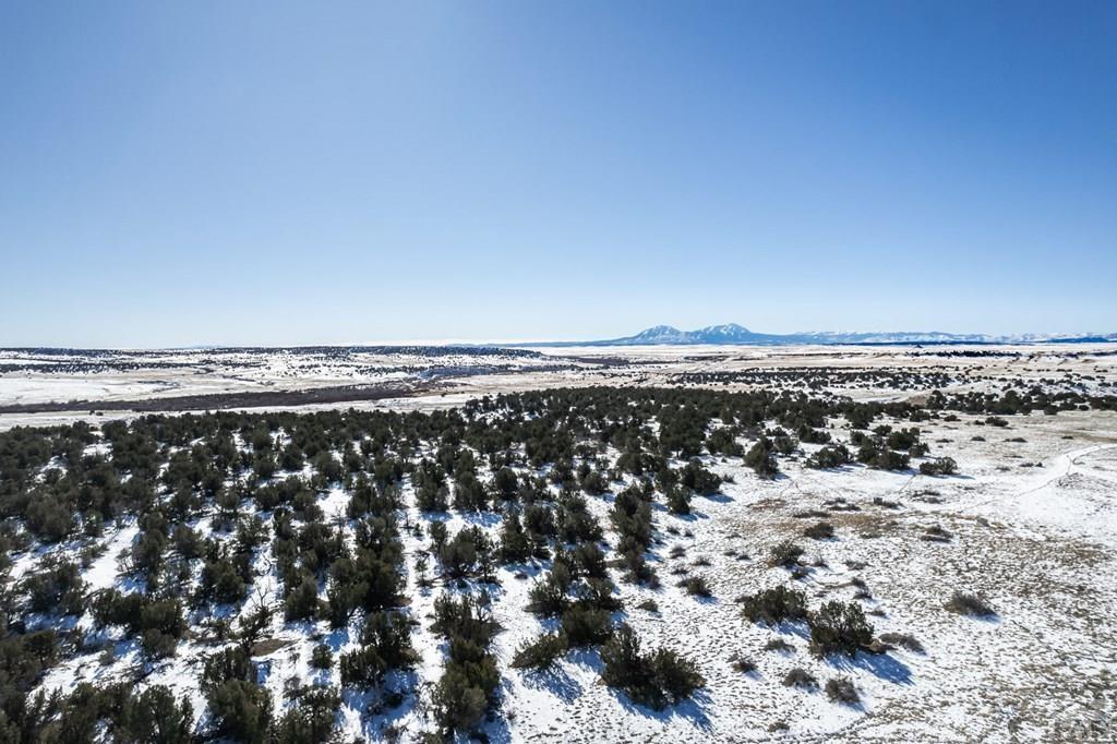 Lot 51 Ghost River Ranch Rye, CO 81069 - Photo 6 of 30
