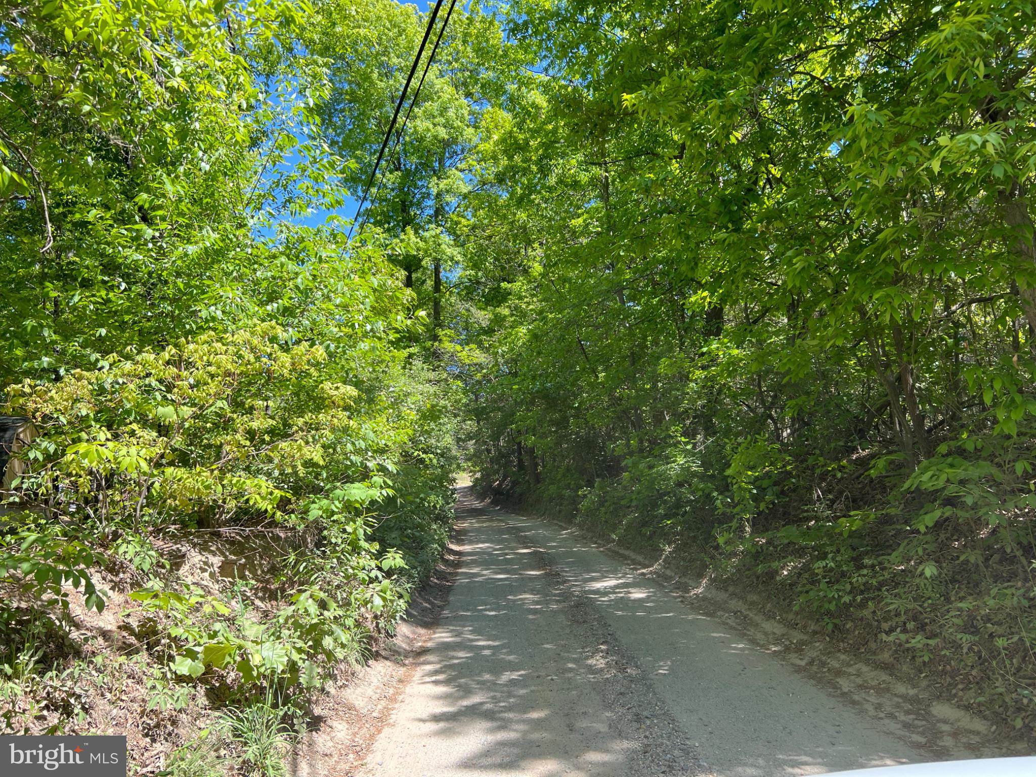 6815 Marshall Road St. Leonard, MD 20685 - Photo 4 of 48 Serene private drive back to the house
