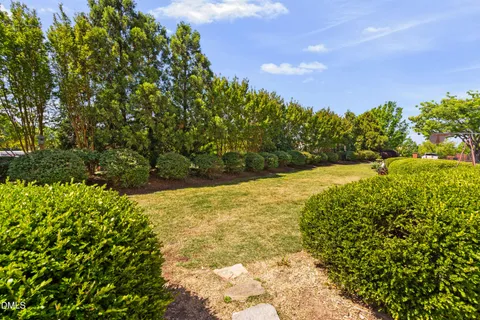 a view of yard with large tree