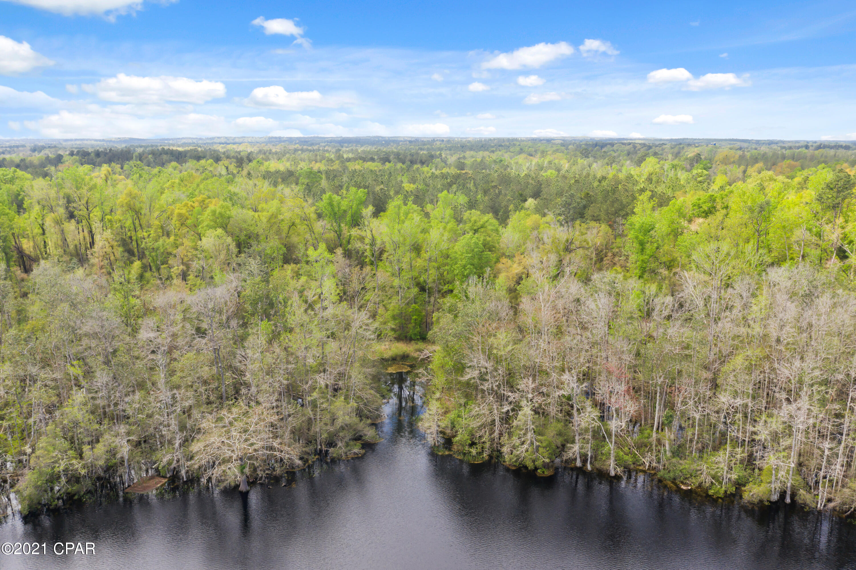 0 Owens Pond Road Chipley, FL 32428 - Photo 32 of 35