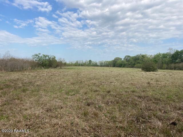 Tbd Jean Pierre Road Ville Platte, LA 70586 - Photo 2 of 4
