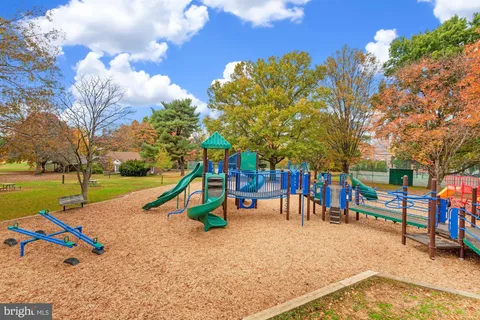 a view of a park with large trees