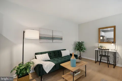 a living room with furniture and a potted plant