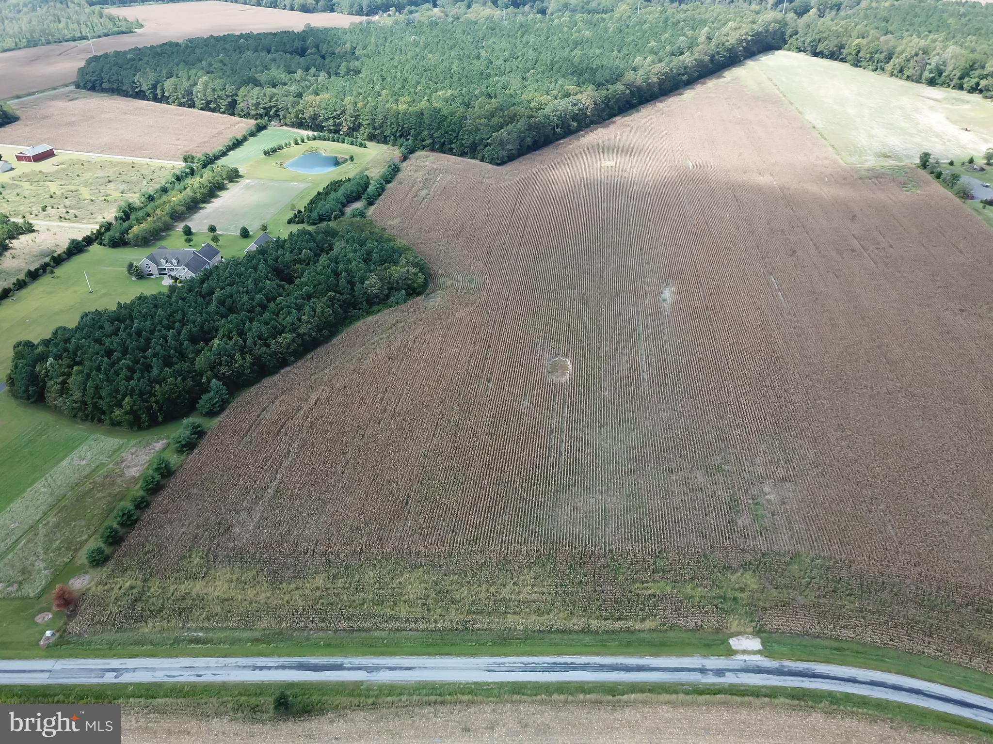 Lot 7 Lawson Rd Route 296 Georgetown, DE 19947 - Photo 1 of 5 10.53 acres