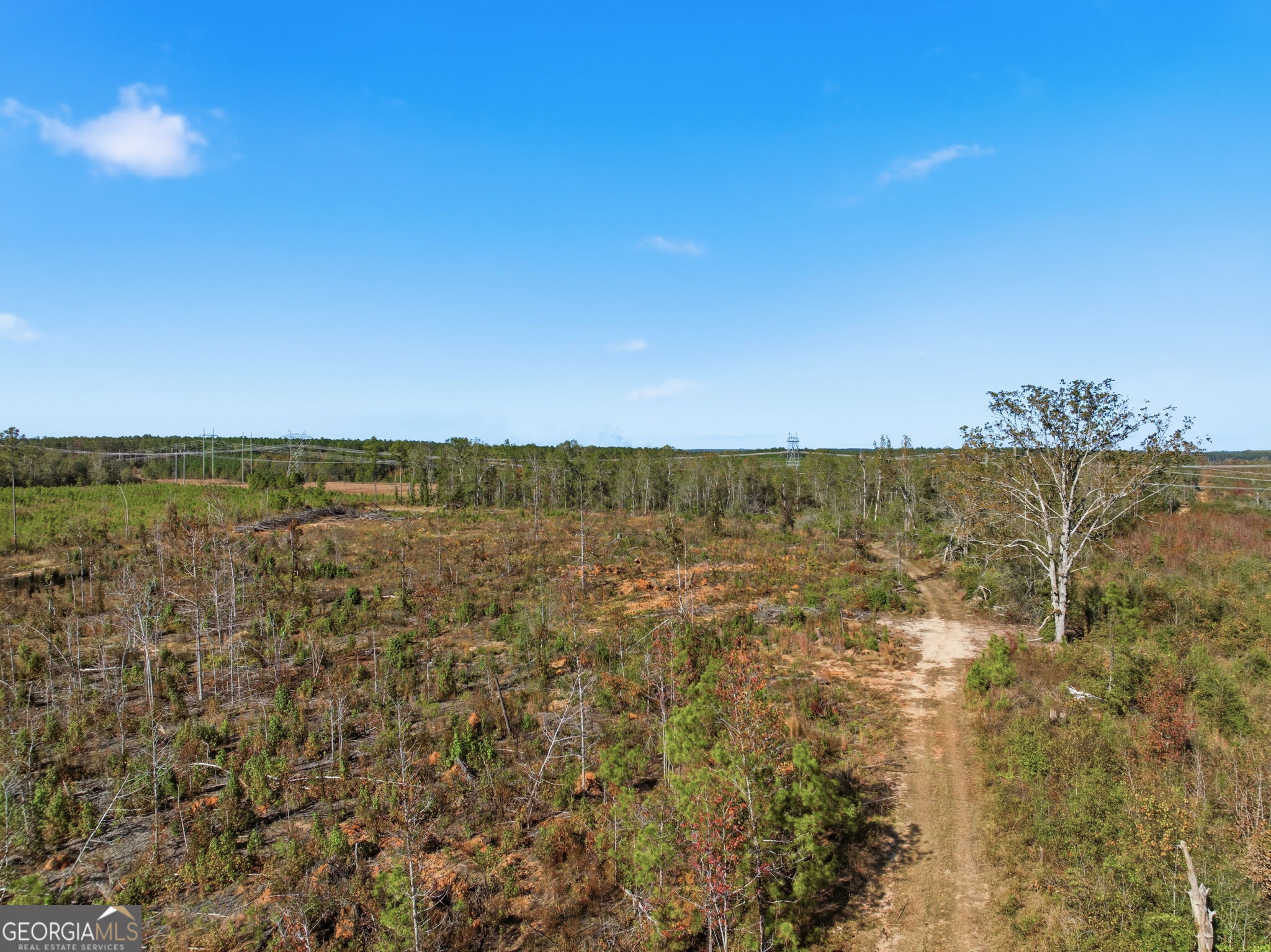 39.702-ac Heards Bridge Road Davisboro, GA 31018 - Photo 1 of 1 a view of an ocean