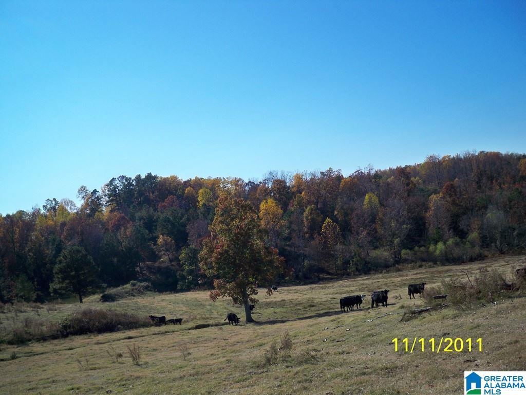 1511 Burgett Road Altoona, AL 35952 - Photo 33 of 38 Gallery Image 33