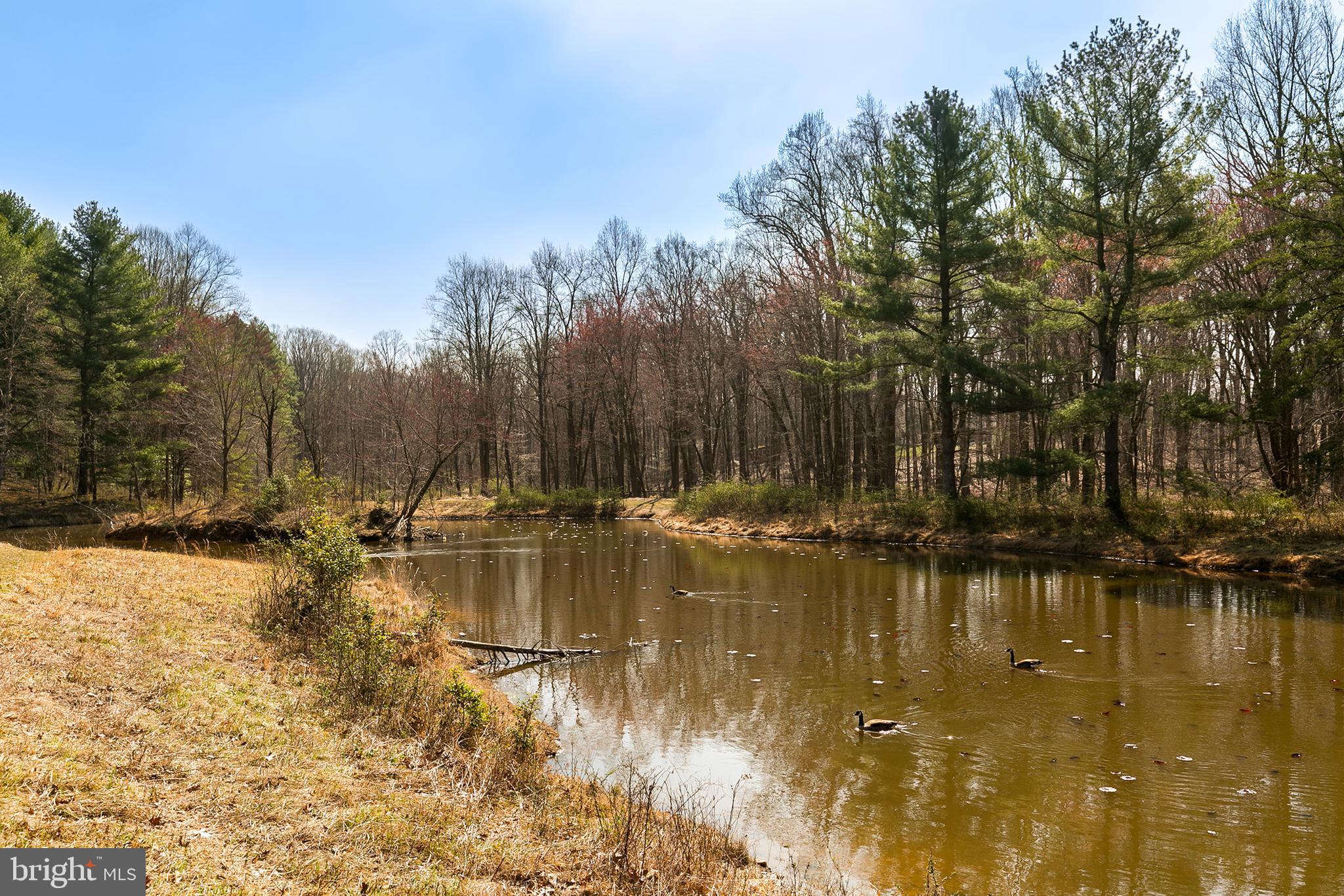15400 Good Hope Road Silver Spring, MD 20905 - Photo 39 of 40