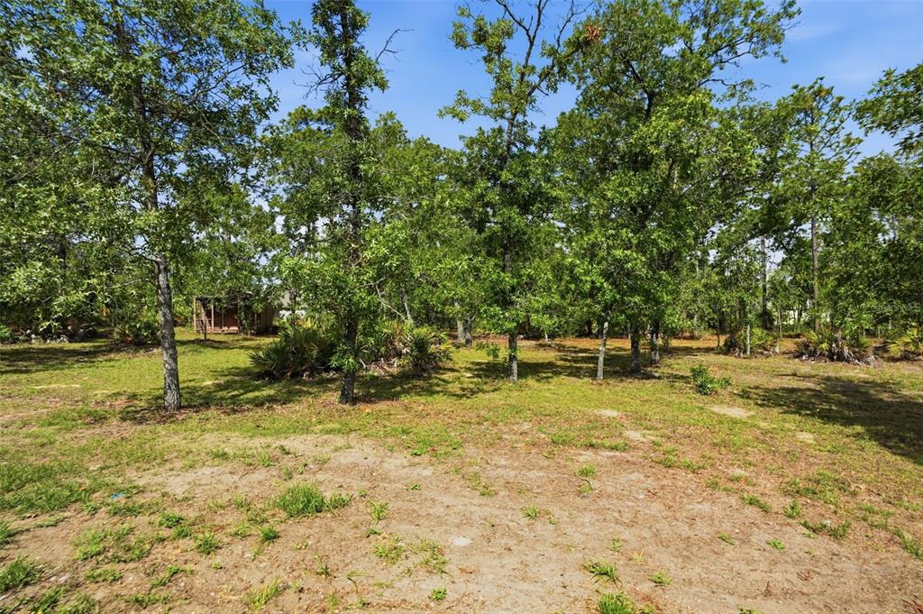 17469 Maberly Road Weeki Wachee, FL 34614 - Photo 58 of 66