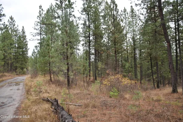 $57,000 | 541 Shady Lane, Desmet, ID 83824