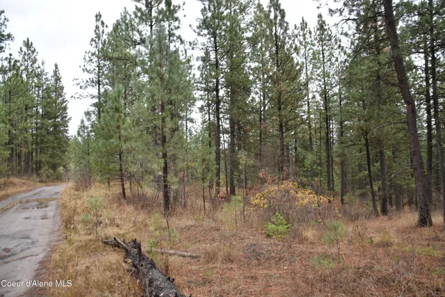 $57,000 | 541 Shady Lane, Desmet, ID 83824