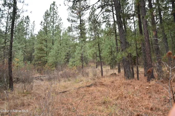 $57,000 | 541 Shady Lane, Desmet, ID 83824