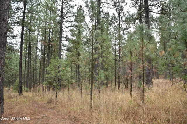 $57,000 | 541 Shady Lane, Desmet, ID 83824