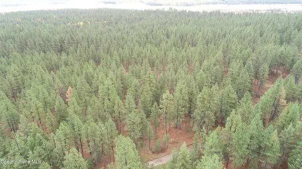 $57,000 | 541 Shady Lane, Desmet, ID 83824