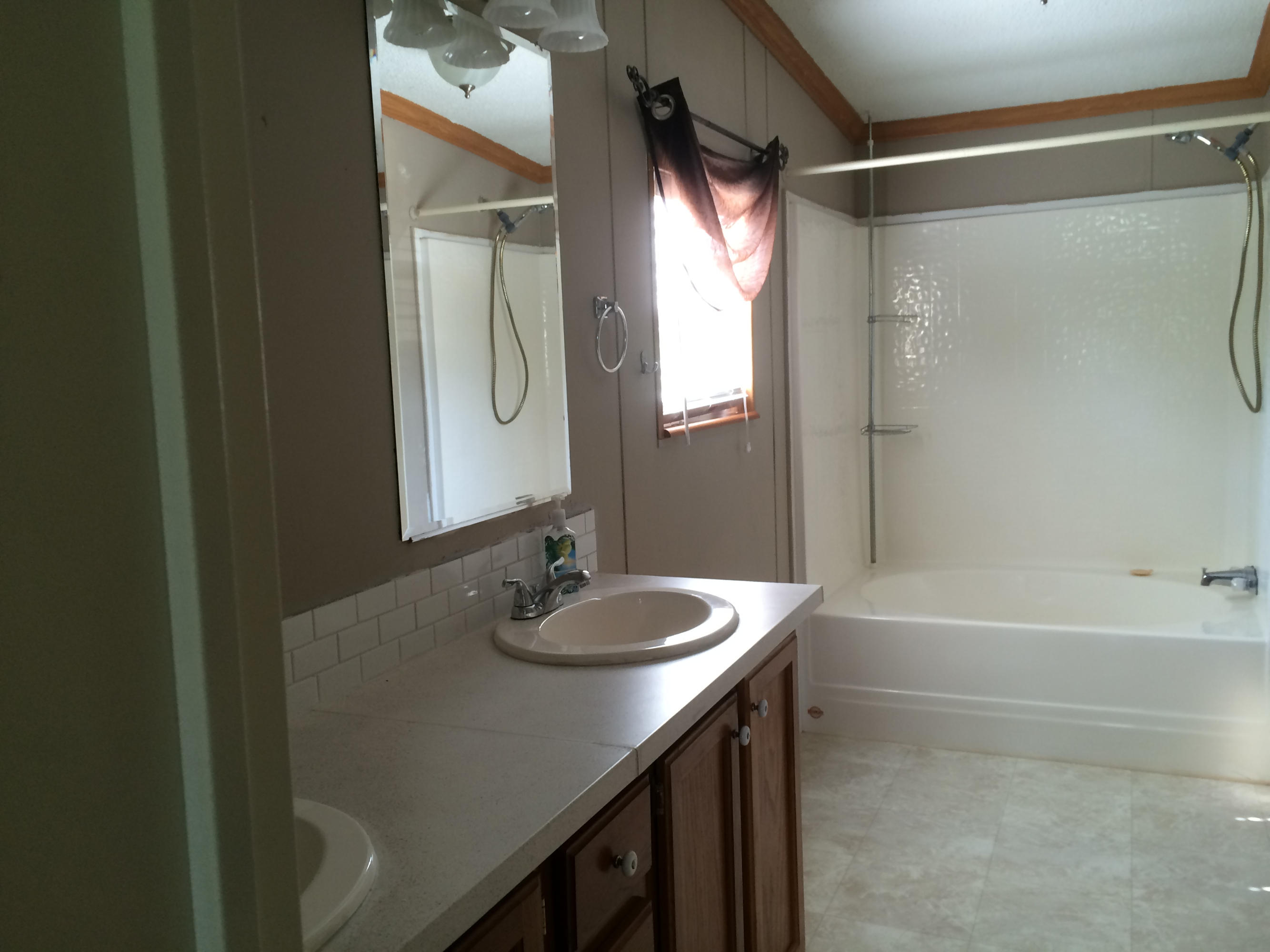 165 Rocky Branch Road Rutledge, TN 37861 - Photo 14 of 33 master bath